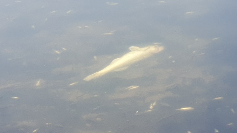 Изображение 443076