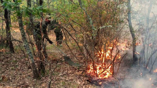142 военнослужещи от Сухопътните войски и Военновъздушните сили ВСС помагат