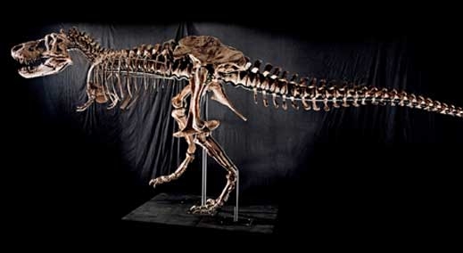 Динозаврите се появили много по-рано от считаното досега