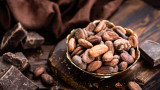 Най-големите производители на шоколад в Азия не могат  да се справят с нарастващото търсене