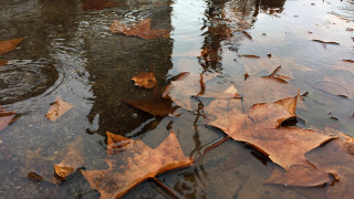 Облачно и дъждовно