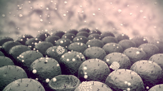 Няма достатъчно тестове за антитела, според управител на лаборатория