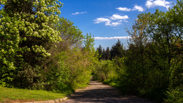 Изображение 416876