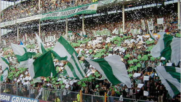 Изображение 7876