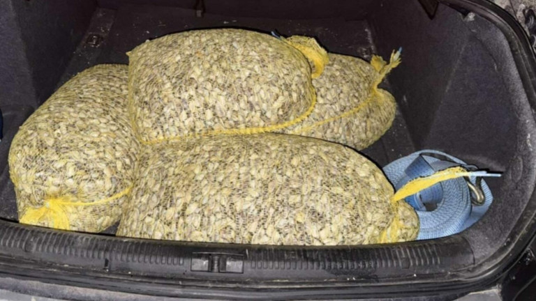 Изображение 748176