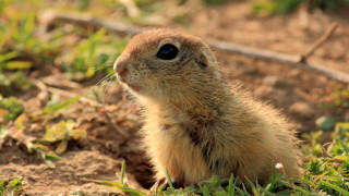 За пета поредна година бяха раздадени наградите в кампанията за