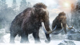 Сибирските мамути и извличането на най-старото ДНК от животно до момента