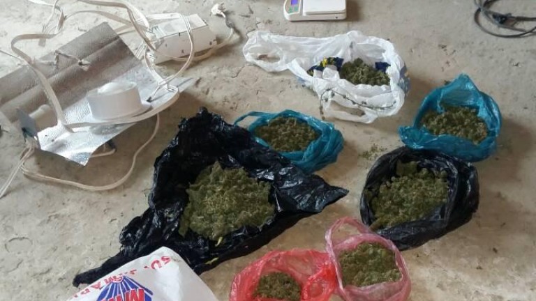 Изображение 319676