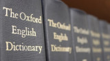 Южна Корея, халю и защо Оксфордският речник на английския език включи 26 корейски думи
