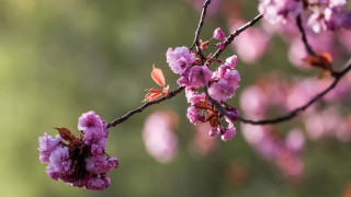 Студено утро. Слънце пробива облаците