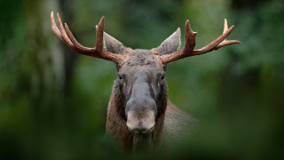 24 годишен български гражданин е загинал при тежък пътен инцидент в
