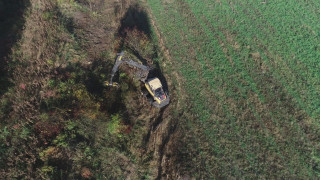 Крайречна ивица гора растяща покрай брега на река Мътивир недалеч