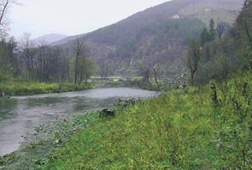 11-годишно момче се удави в река Бистрица 