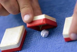 "Онлайн търговец" измамил десетки у нас с фиктивни продажби на техника