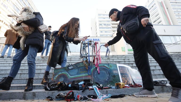 Изображение 740577