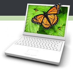 Acer на крачка от вторто място по продажба на PC за 2009 г.