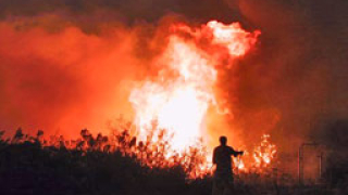 Пламъци погълнаха хиляди декари гора в Етрополско и Тетевенско