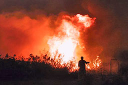 Пожарникари загинаха в Калифорния