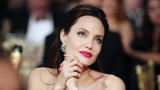  Анджелина Джоли, Брад Пит и желанието й да продаде частта си от винената им компания Nouvel 