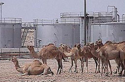 Природната рецесия е необратима