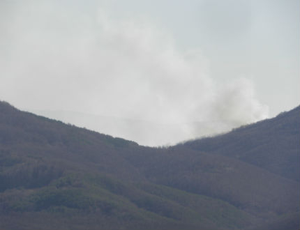 500 декара вековна гора гори край Струмяни, огънят дошъл от Македония
