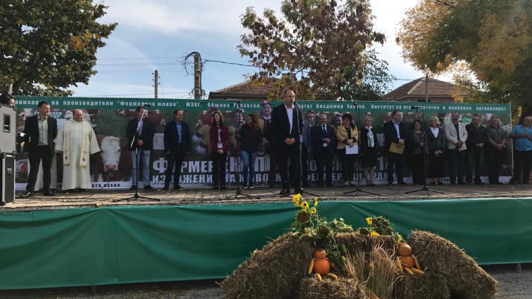 Изображение 383477