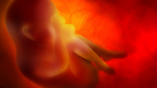 В съвременното общество мисълта за интимни отношения между близки роднини