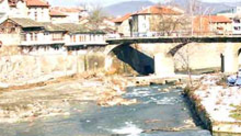 Изображение 3677