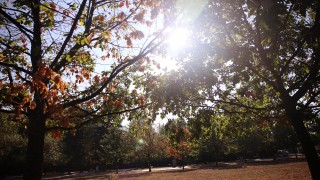 Днес ще бъде слънчево но преди обяд над Източна България
