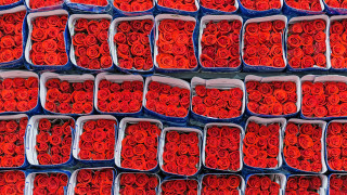 В най романтичния ден на годината Свети Валентин едва ли