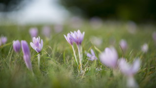 В 10 ч и 50 мин е есенното равноденствие и