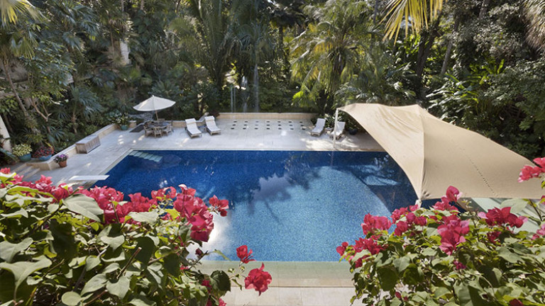 Изображение 294777