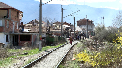 Изображение 115277