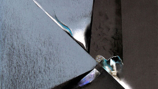 Китай канят наша художничка на Пекинското биенале на изкуствата