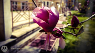 Слънчев и топъл ден на изток, променлива облачност на запад