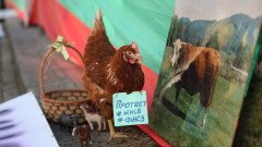 Синдикати, земеделци и кокошка на протест пред НС заради ниски заплати