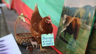 Представители на най големия синдикат у нас КНСБ излязоха на