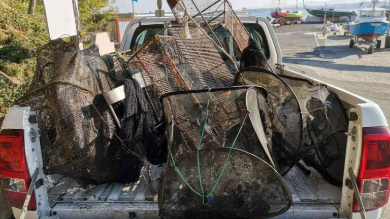 Изображение 596077