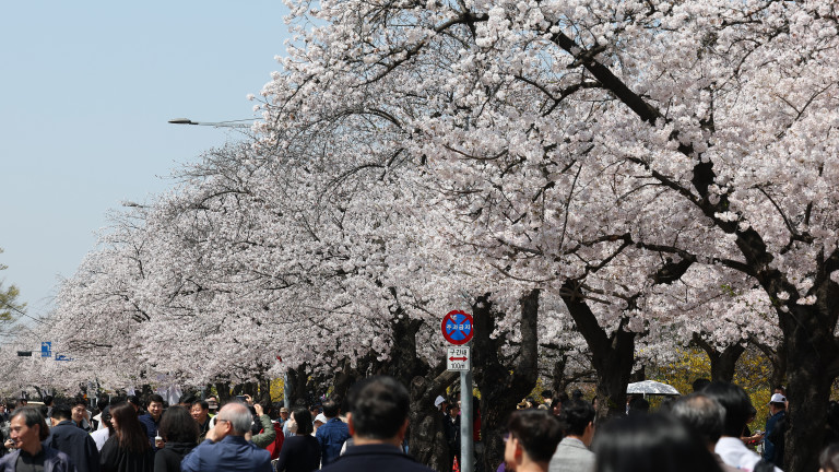 Изображение 756077