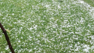 Министерството на земеделието създава нова Регионална дирекция Борба с градушките