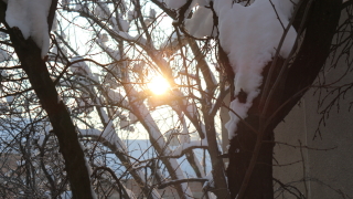 Сняг и слънце ни чакат за Нова година