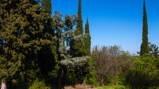 Съдът върна на Софийския университет Св Климент Охридски спорните 19