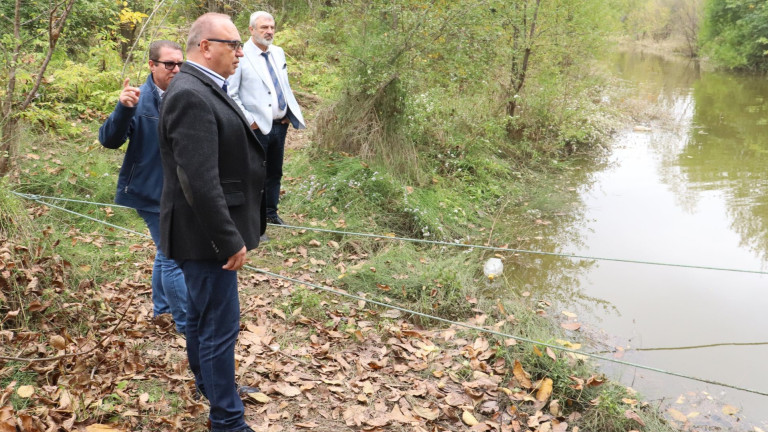 Изображение 736877