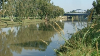 Шампионката на Израел по гребане едва не се удави