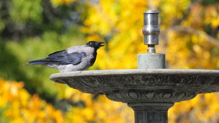 Седмицата започва със слънце