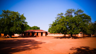 Кръвта и багетите обикновено не се възприемат като строителен материал