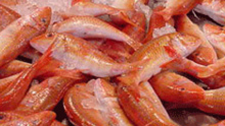 Изображение 67777