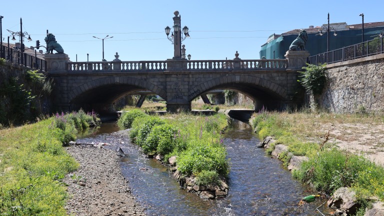 Изображение 728177