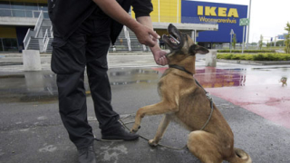 Нова бомба за IKEA