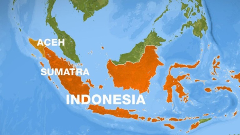 Автобус падна в пропаст в Индонезия